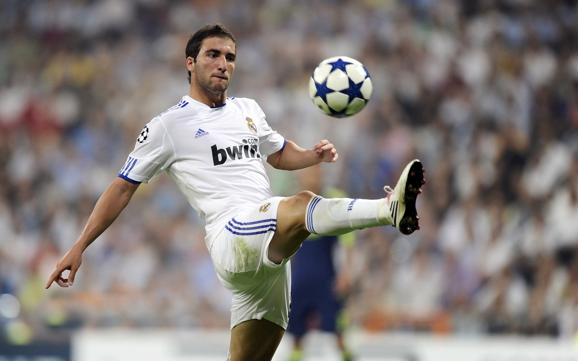 德甲球队的年轻球员培养措施，德甲球员年龄限制